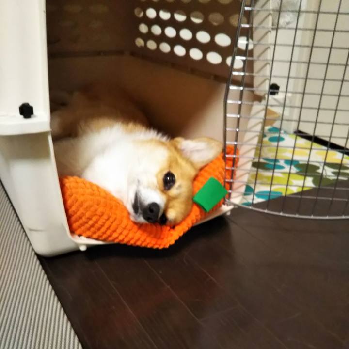 91945d99 e1bb 4a73 89f3 c7ebfce10d6e 1570808335804