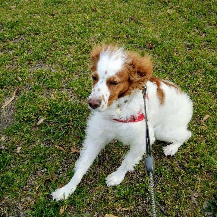 9194a516 45f0 42aa b6a6 8c79fd43db3a 1553244946988