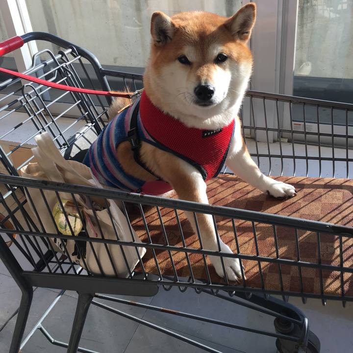 9194c833 b953 4311 98e9 dce9743f082f 1605080426810