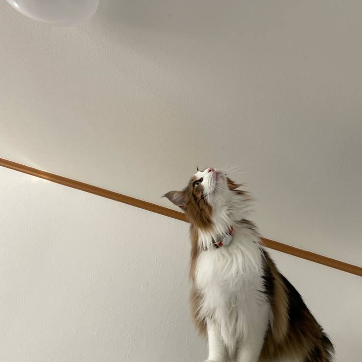 91951101 0e95 4024 a899 ac41d04727e7 1682626118605