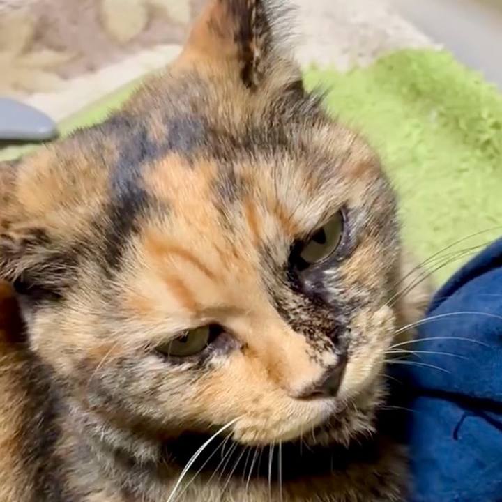 919547df 2cc5 4a83 a695 4d2d260f94d0 1761252260527