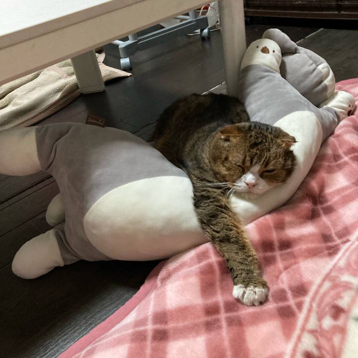 919569b7 5833 4ee1 a210 0962fefe4687 1703316328707