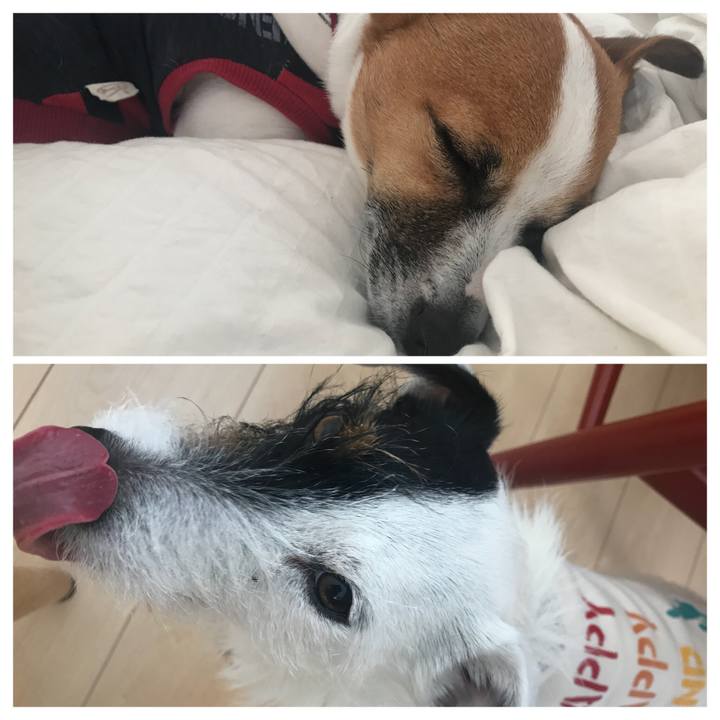 919577b2 ad2a 49e4 867c 3e4a9a23ad08 1520808624722