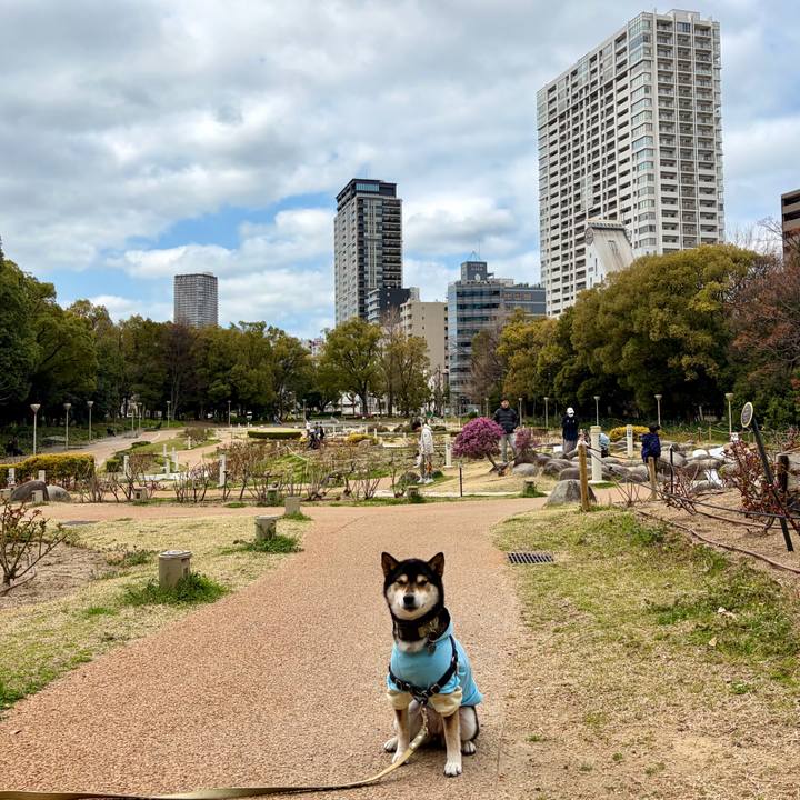 9195b8eb 0e6f 411b b65a 1f8c0cb8511c 1773580353738