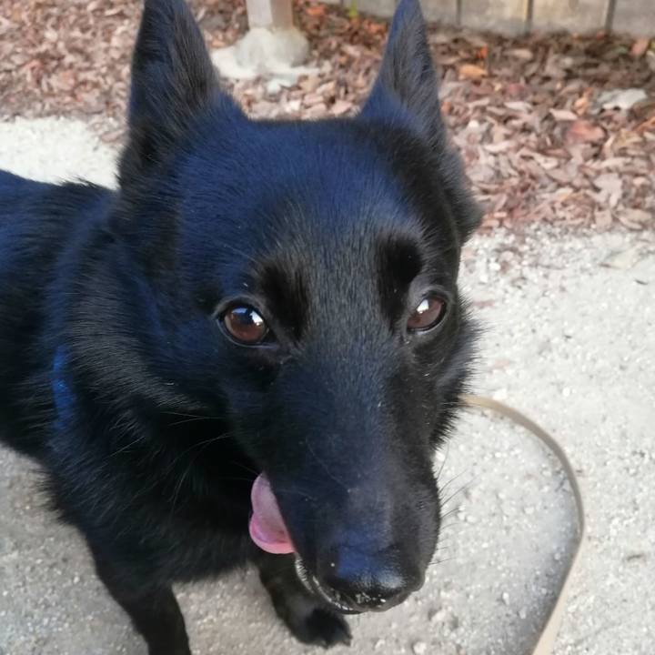 9195c4ab 7229 4067 9dd6 4c679afb8457 1614117357011