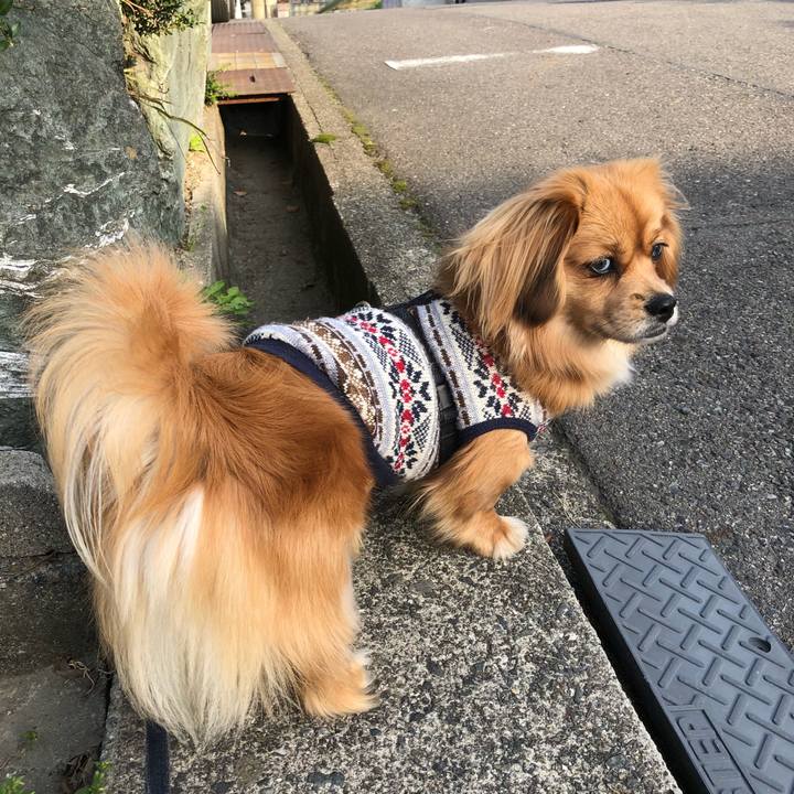 9195e55e 7675 4dc7 a18d 36e84c025b32 1522538065551