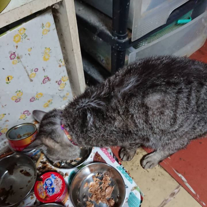 91963c45 9fde 4ed1 9c2d bf5e3d5b8aa2 1593422551598