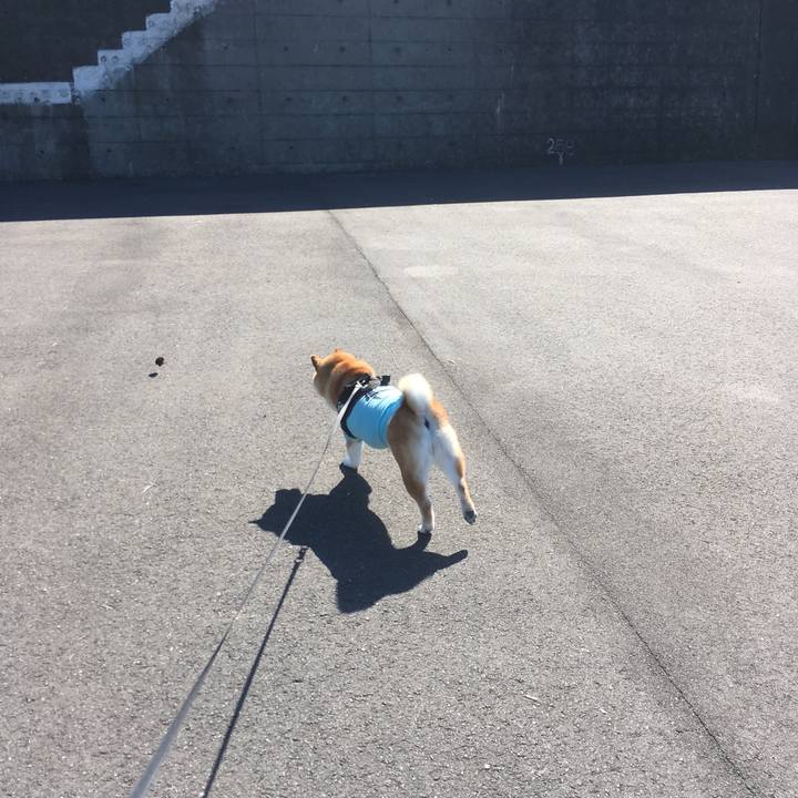 91964deb 4324 45ba b566 5342b6fda3fa 1541123599076