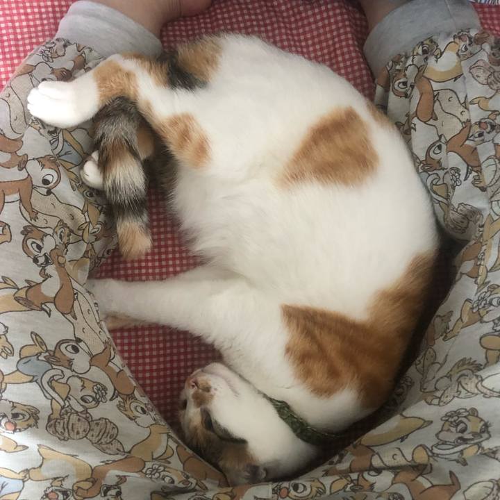 91965541 b9ac 438e a0db 3125b032e58e 1597545043746