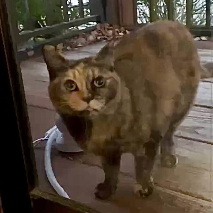 9196637e d286 48d1 b09f 3eb5219f229c 1764069871651