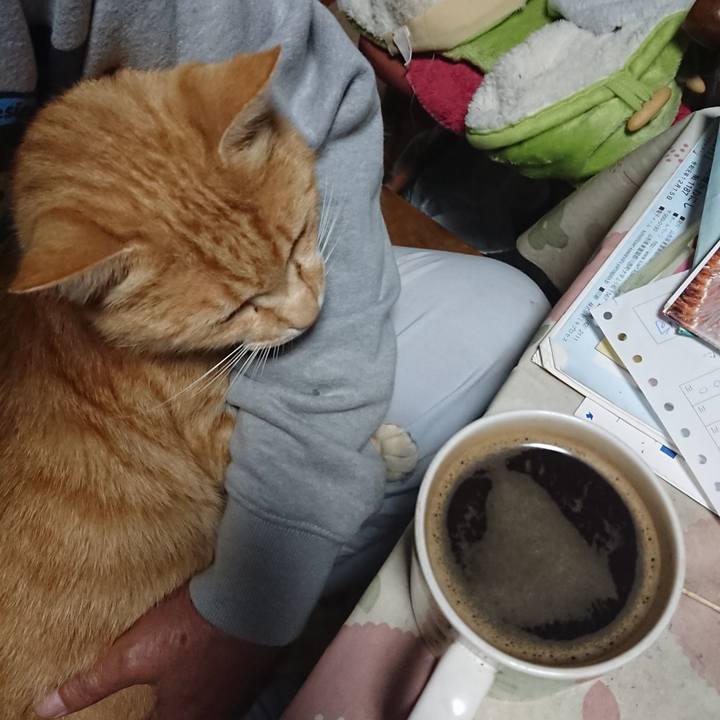 919676b4 4e21 4770 aa3e e6e1a8d58cd6 1592422307372