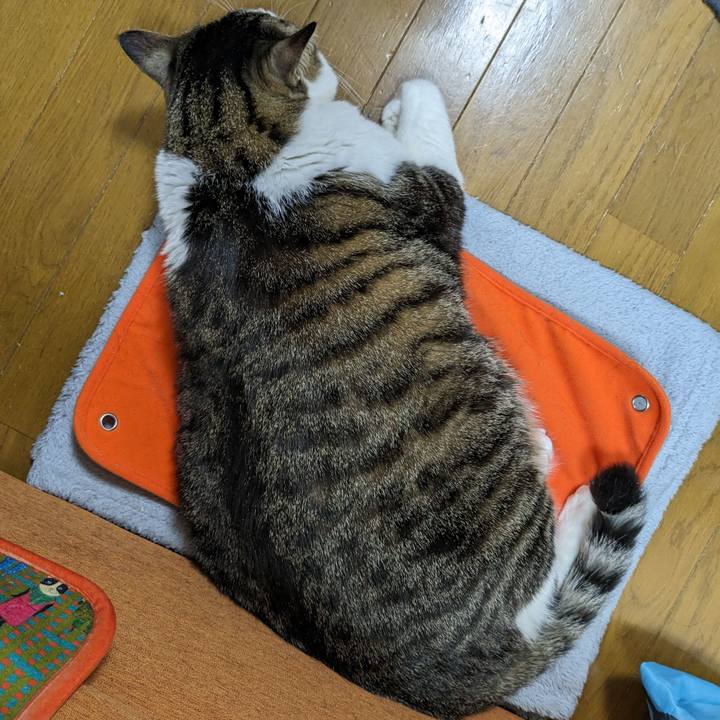 91968f54 8fd0 4316 8337 f010463dbd52 1703420376358