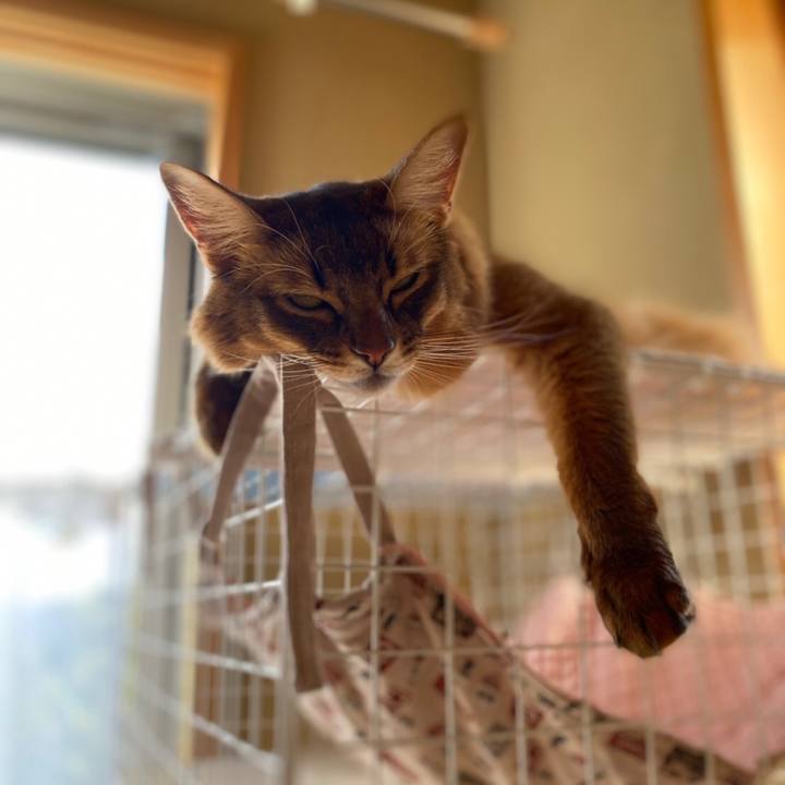 91969460 4b79 419a afc4 53ae7be2d5fa 1635918834258