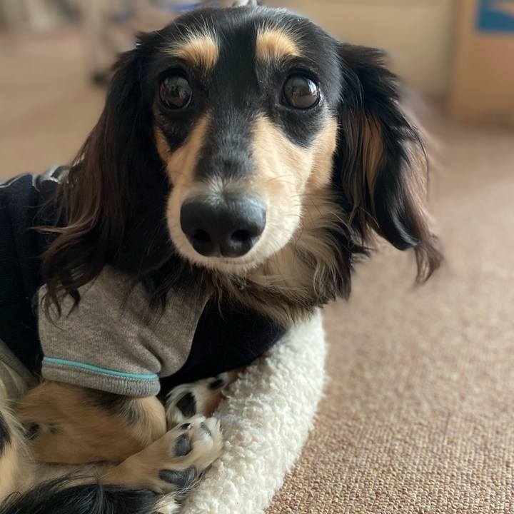 9196a14c 048b 454d 8e87 35297a635f8d 1706765065928