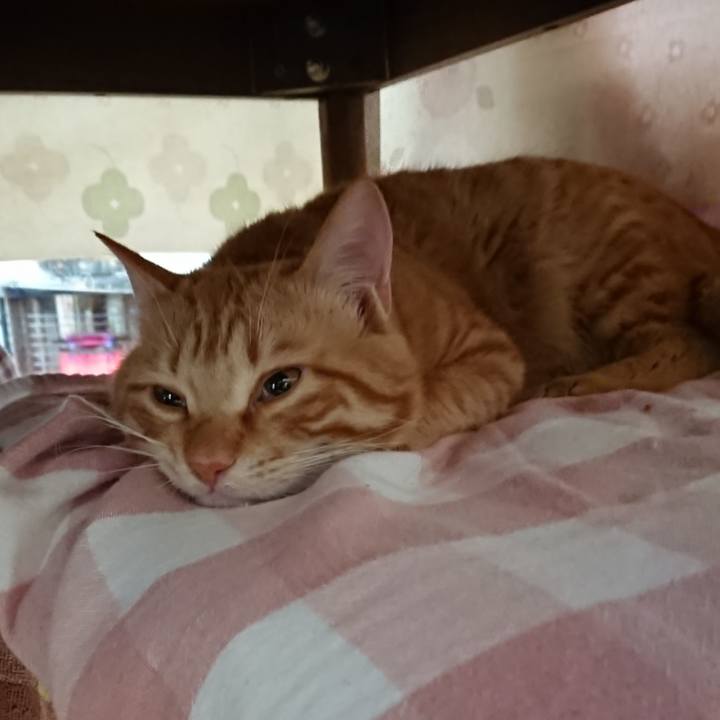 9196ce64 25b2 429c 8dd5 d45c626dc6ea 1644443419236