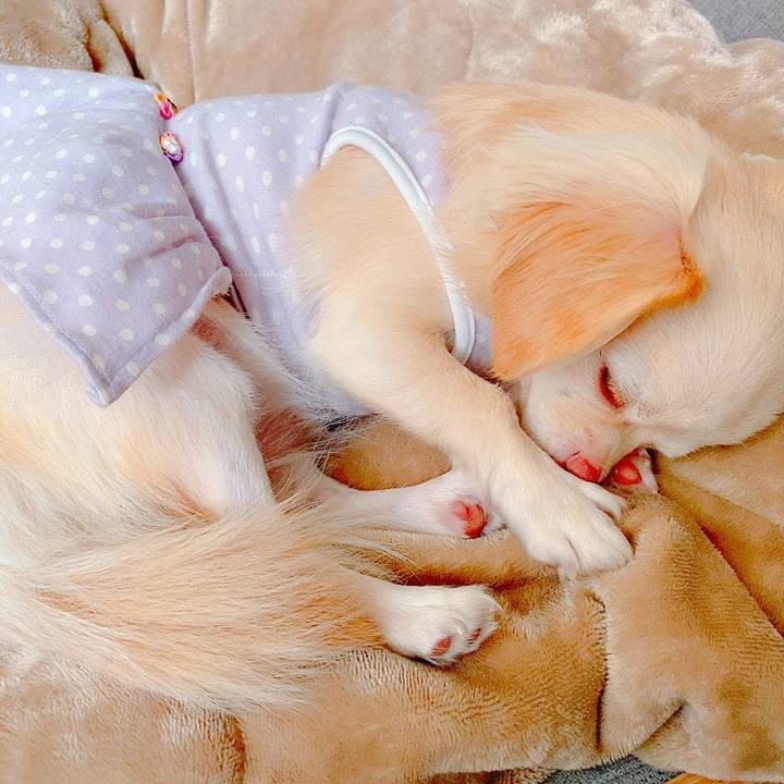 9196d281 f1e1 43c5 9d4b a598799198b0 1634176693152