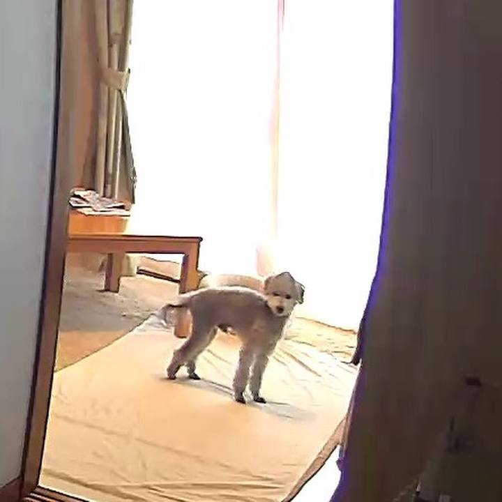 9197087b bfac 49df 9ff1 4abef7f7b3f4 1610079337555