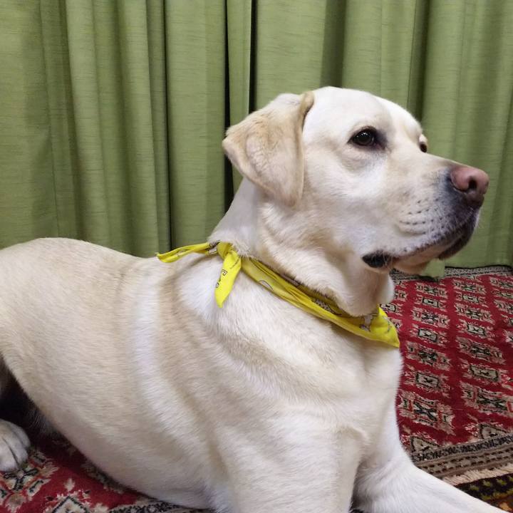 91970bbd ee27 4158 a973 ef44c773a65c 1519472706349