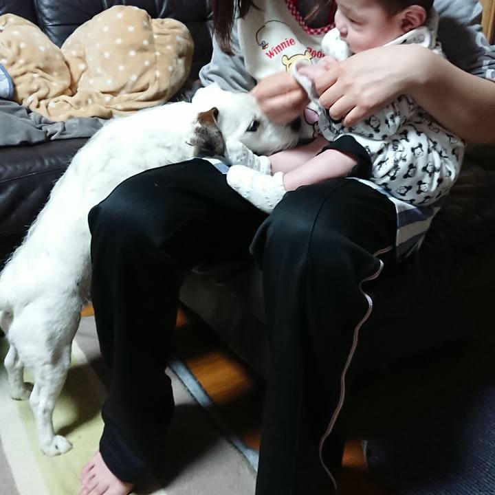 9197599a 407f 4e06 9c17 c95cd23e28dc 1523666713945