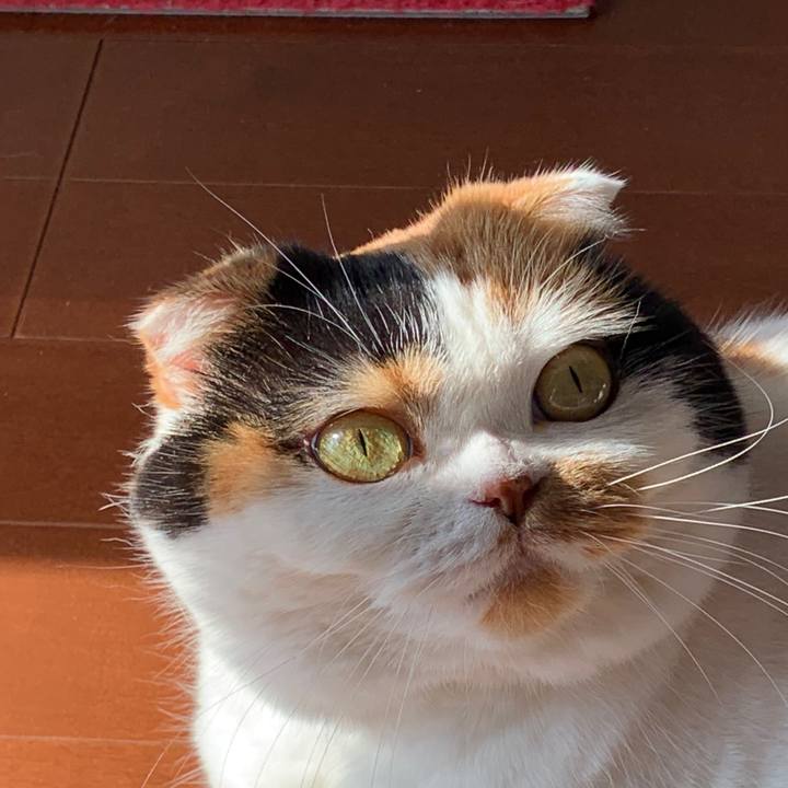 919773f7 a055 4d2b bc8e bc6ed4af129e 1569888150217