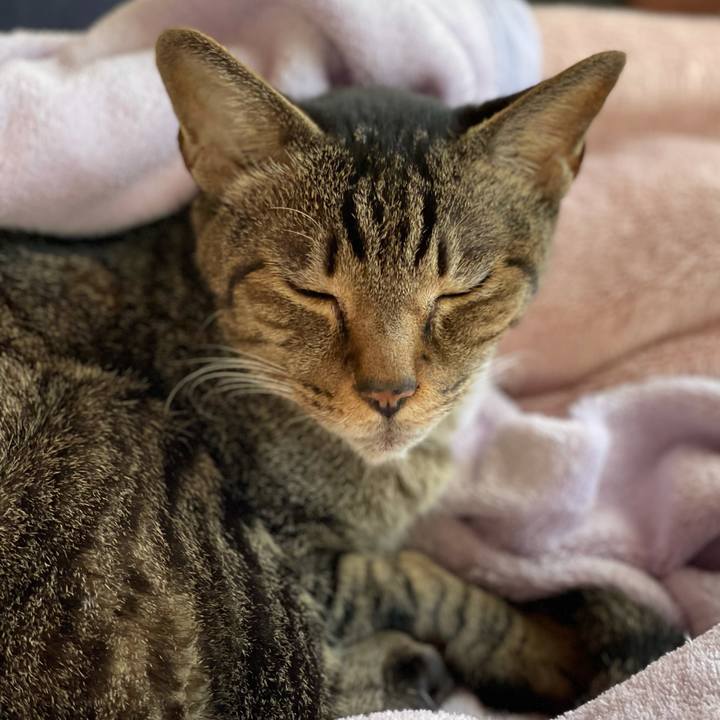 919786d1 7566 40f1 919a 7a048064cce0 1606613199540