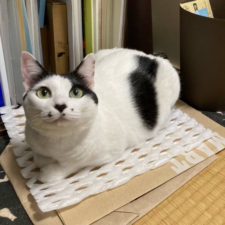 9197b113 f5de 41c7 93aa 94d5b38949d1 1762263201349