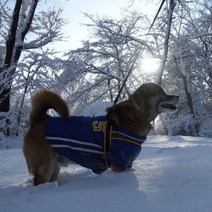 9197c804 01f0 4b30 995e af292c5c04f0 1769127513089