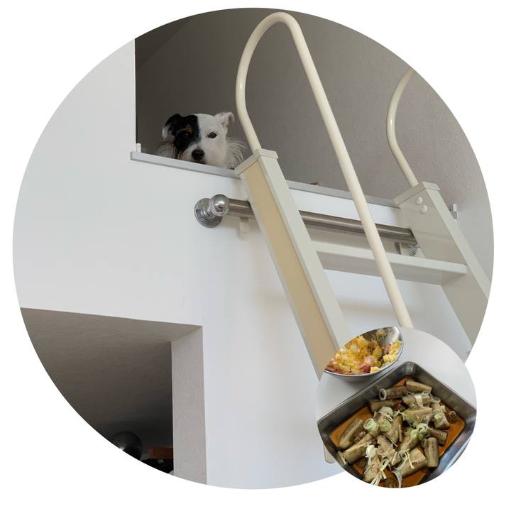 9197dca2 eb6b 4055 aebc 569e4d4fb593 1664088656553