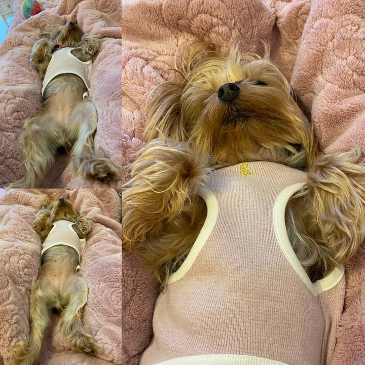 9197f368 f591 46e0 bd96 68b33d1efb4c 1612224261932