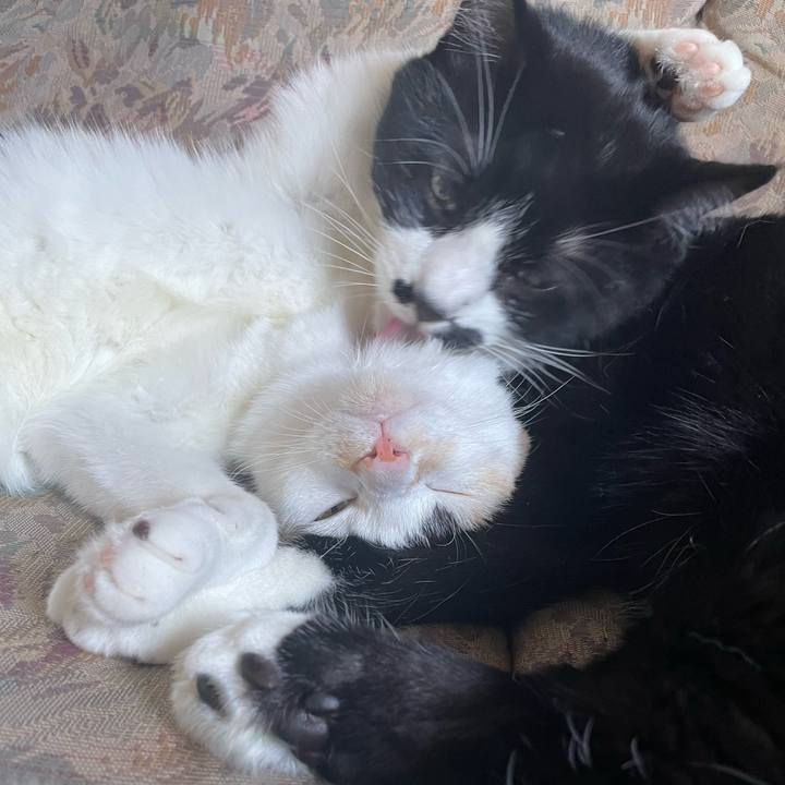 91981894 06cf 4e9d 894d ad55169e718d 1694671751884