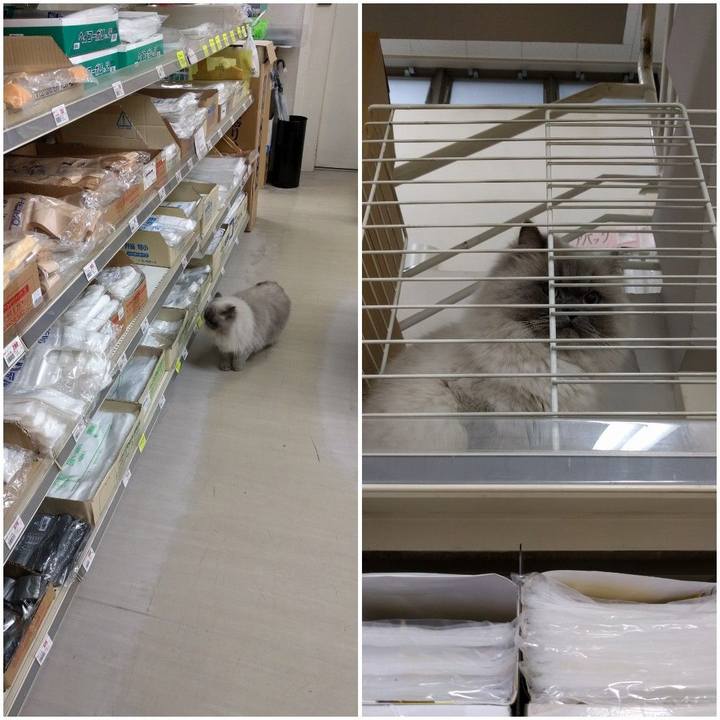 9198202a 0d62 4230 a2df 1038ad1fb0a8 1551662779675