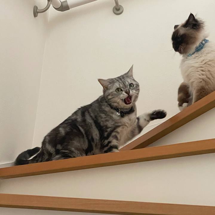 91982471 faa3 4457 8351 1f563b17afce 1621771096993