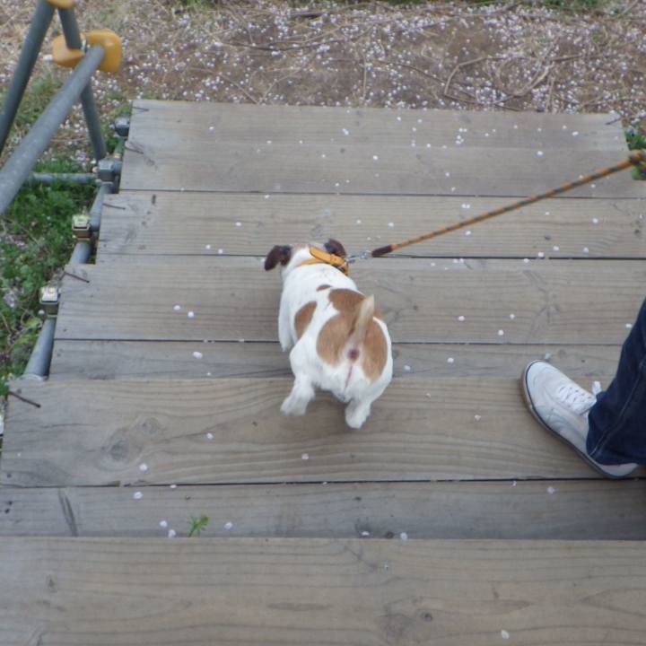 91987150 eb1c 4ede a3b0 5b239914cbf8 1555681287489