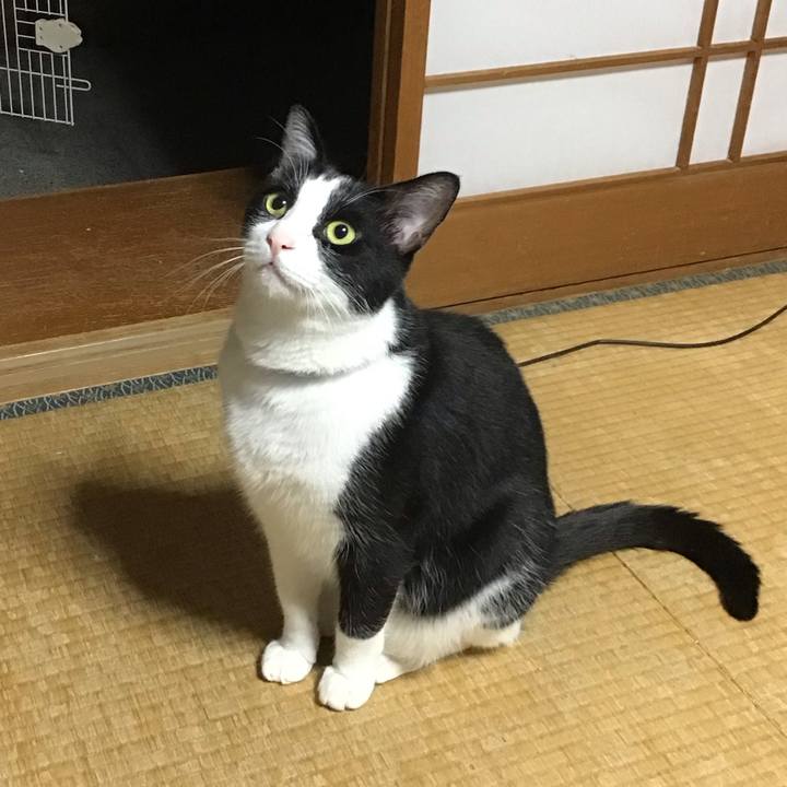 9198bdc4 4883 4f7f b6f3 abac86f41342 1688564220089