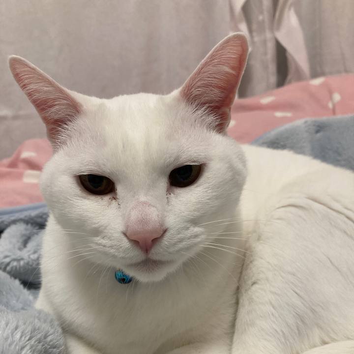 9198e5bd a0b7 4915 bdea 56d88ed0beae 1681519755423