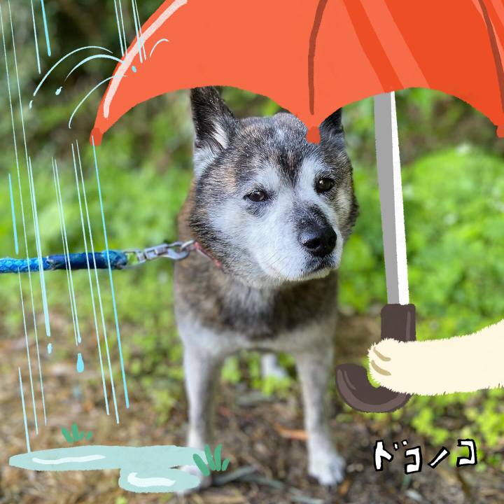 9198f292 26ea 4017 a6d5 b87344285daa 1749253610074