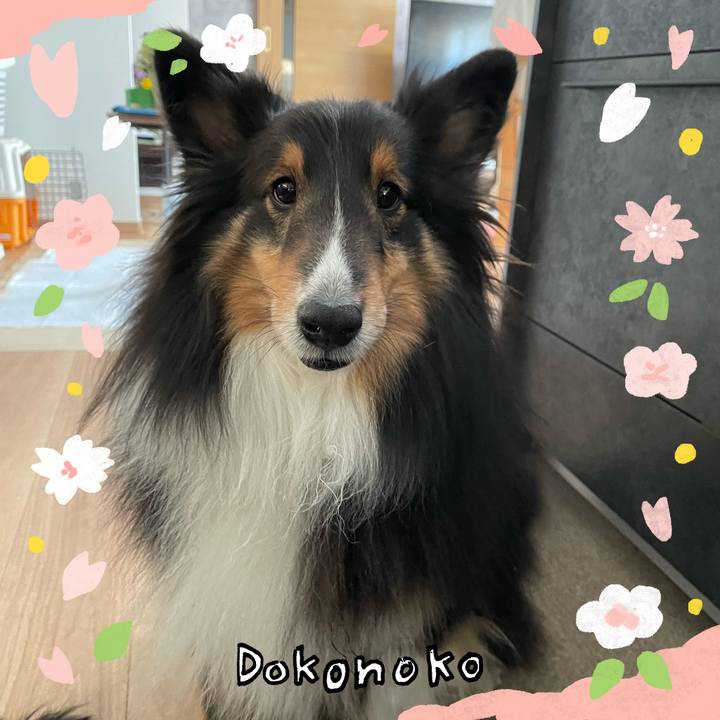 9198ffdf 775b 4d1e 8238 0afa351d71cf 1711145800353