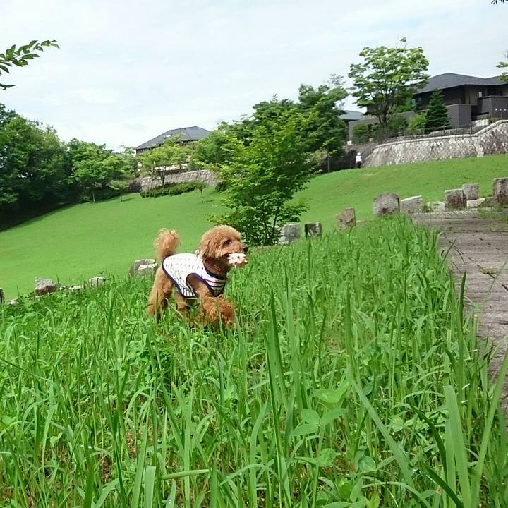 9199b940 ccca 4296 8404 50eee5be9682 1531480478479