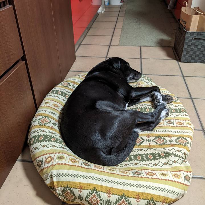 9199c4be 4ee4 4918 b1f2 f514a43b358a 1660523802867