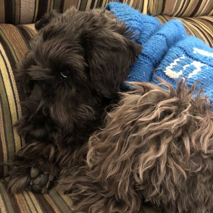 9199d8fb 9e32 4712 b00b 71803cab2b8a 1576461810281