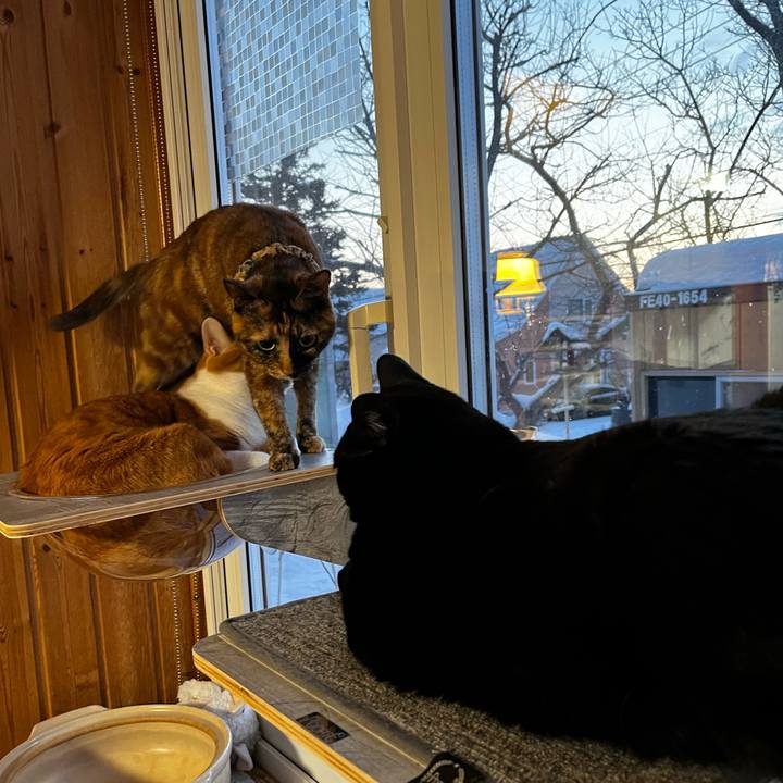 9199f5bd 60de 4b25 9084 a89437af6a92 1707438401428