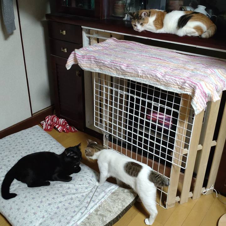 9199f8dd d4b1 4e80 8ee7 5d9b24055cb2 1651318193644