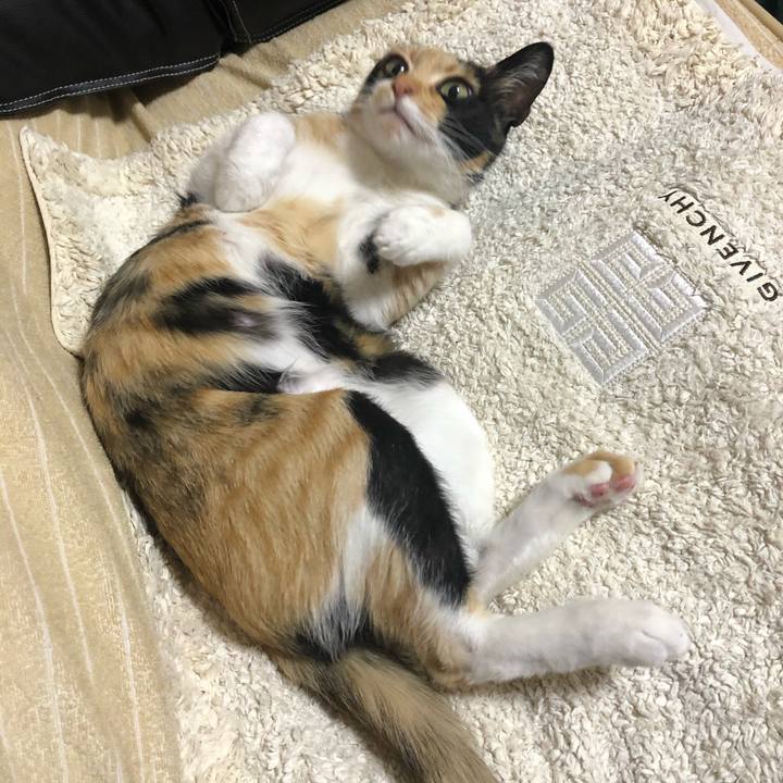 919a3a2f 753e 4931 b4e9 f404d3412cad 1611702580160