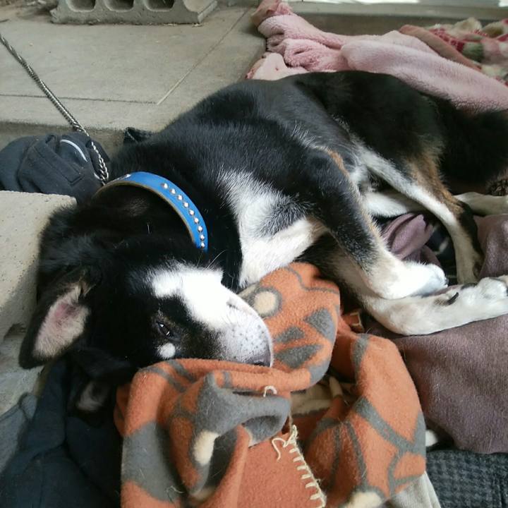 919a851a 7bd7 410a b39b 9220e9debcaa 1541816550385