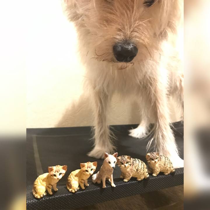 919a8ef1 bcc3 48f2 8d95 624c57097ffe 1632821726187