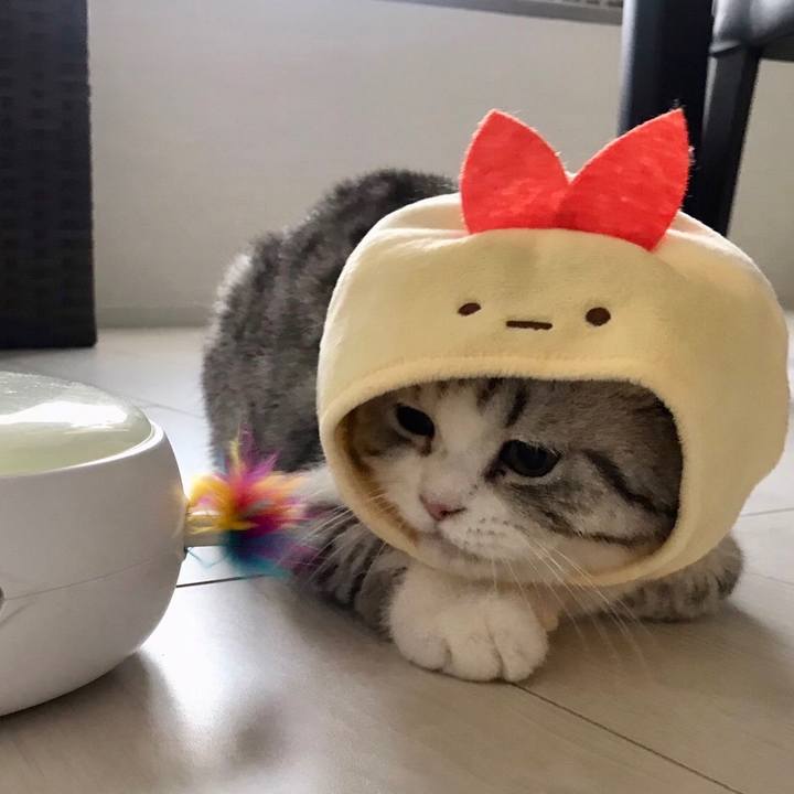 919a946d 38d8 4d47 abb1 1f55ebd05917 1694985959322