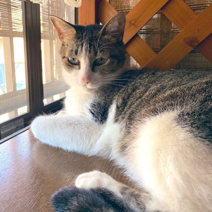 919aaa3d 07db 4958 b8f6 6cd13bb1d94c 1568113707774