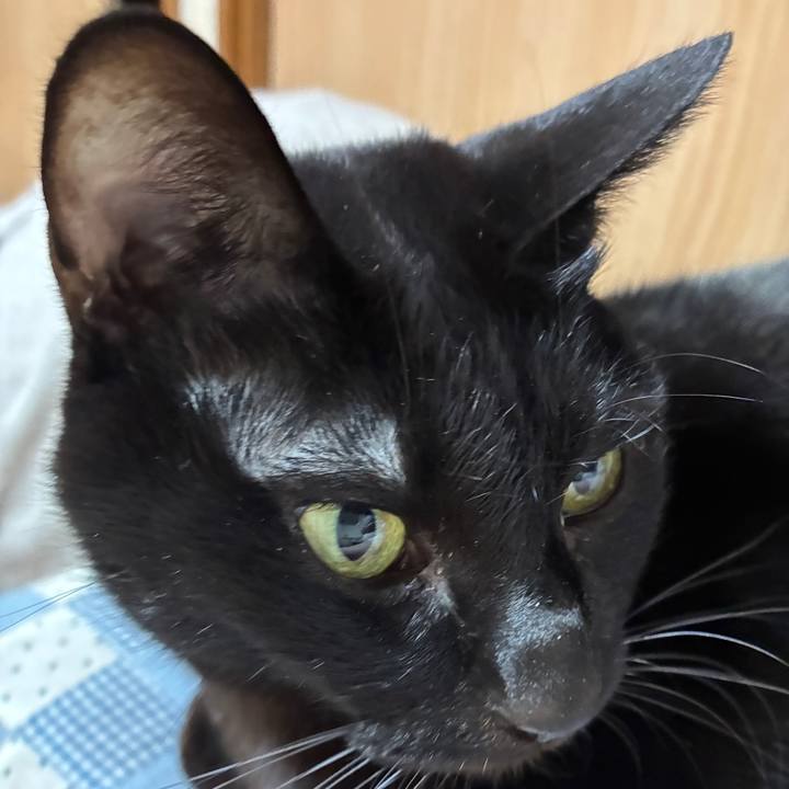 919b0899 92d1 41bd 9e23 1f9ab4e0b0e6 1768387085358