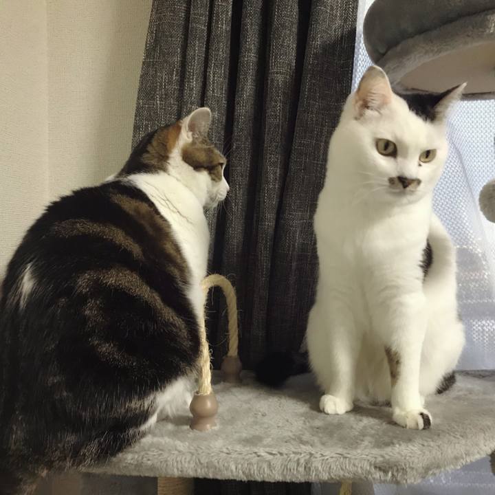 919b0fce 73b8 4a7e 87d6 932d5f3ae8b5 1577341916568