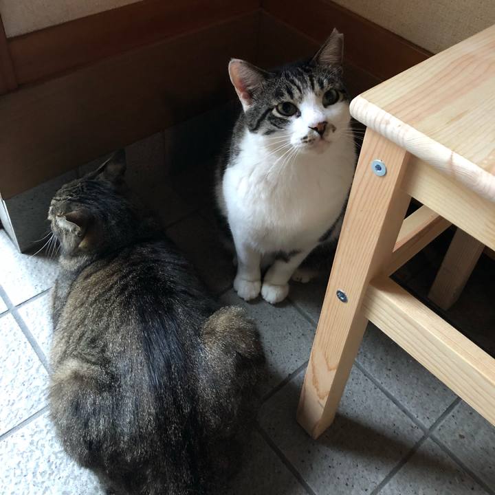 919b382c f50c 4b6e b9b7 4d1d8d75ec7a 1530866559268